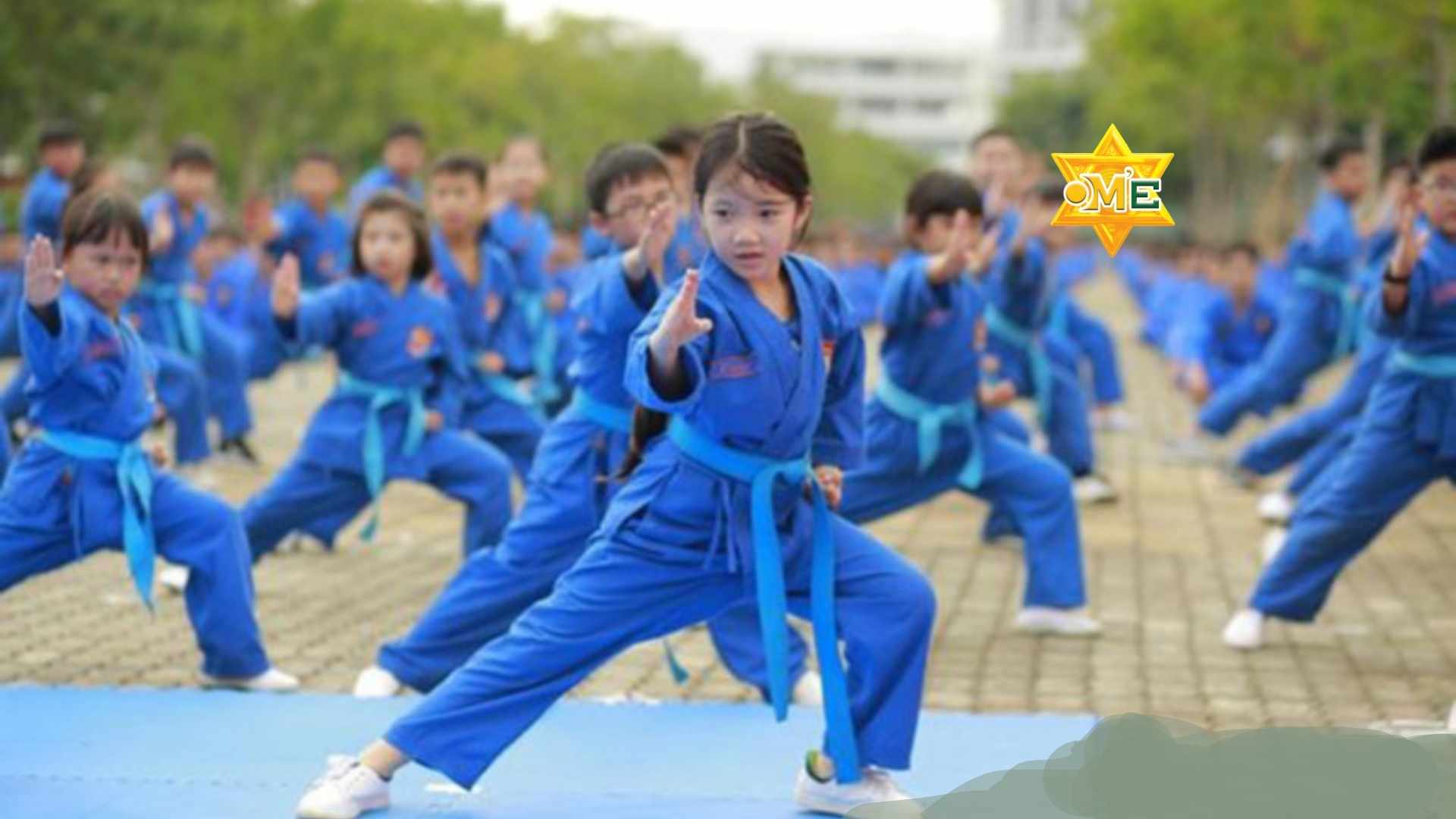 Kỹ thuật căn bản Vovinam