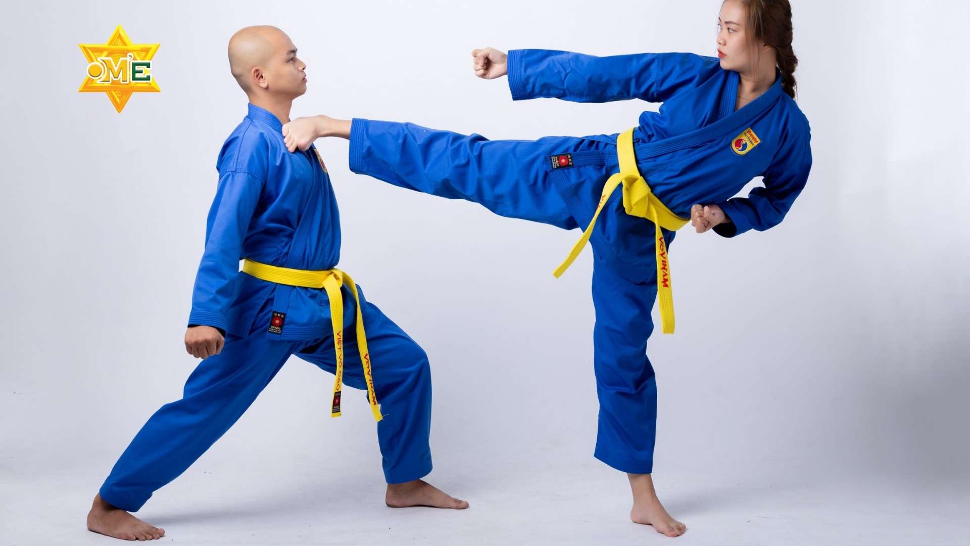 Kỹ thuật căn bản Vovinam