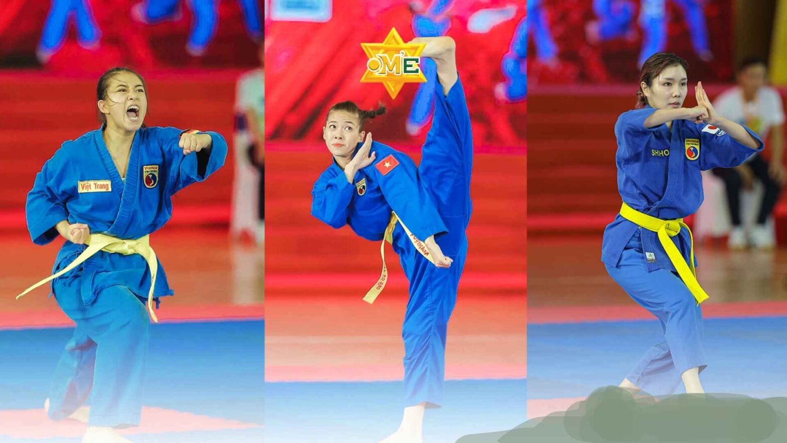 Tự vệ Vovinam: