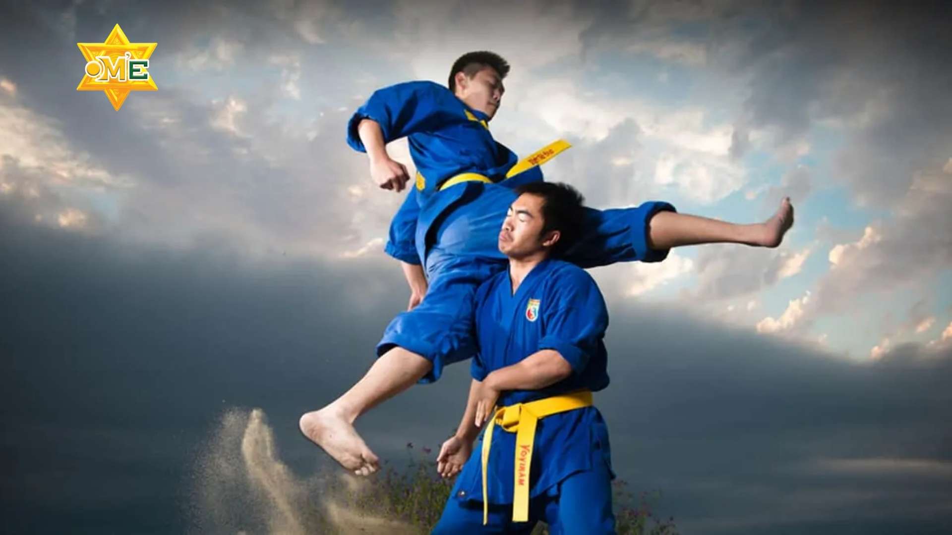 Tự vệ Vovinam: