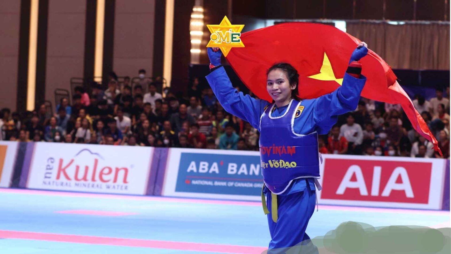 Vovinam trình độ 3