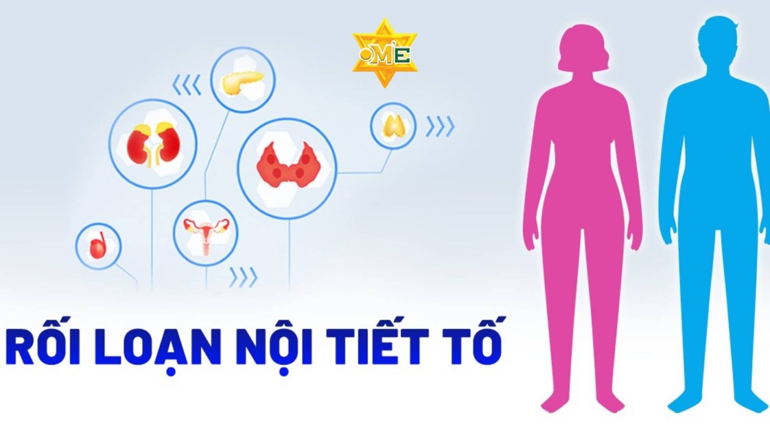 Bài Tập Yoga Cân Bằng Nội Tiết Tố Nữ Hiệu Quả