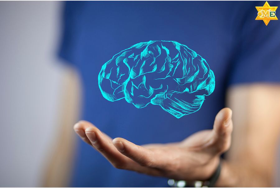 Cải thiện trí nhớ và khả năng tập trung bằng huyệt đạo có hiệu quả không?