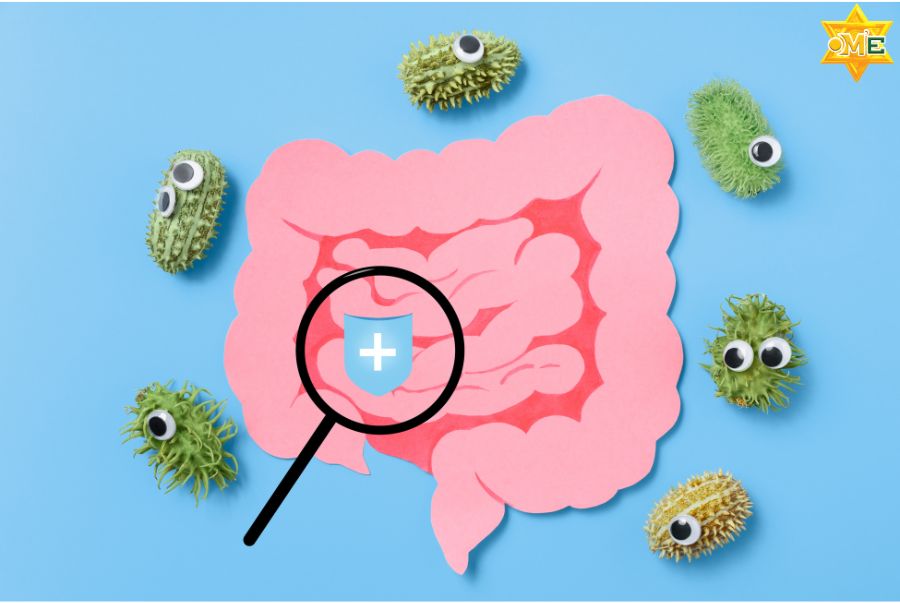 Chăm sóc đại tràng bằng Y học cổ truyền là gì? Hiệu quả ra sao?