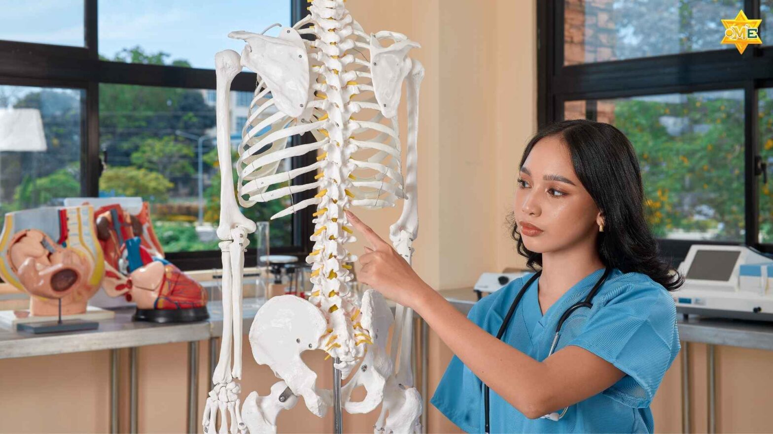 Hình ảnh giải phẫu chi tiết cột sống người