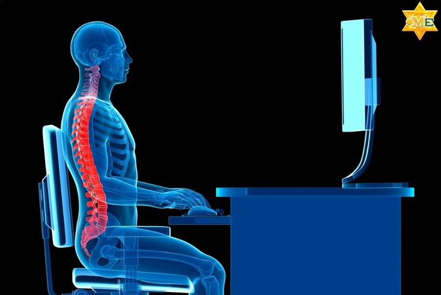 Tầm quan trọng của việc học giải phẫu hệ thống cơ xương khớp