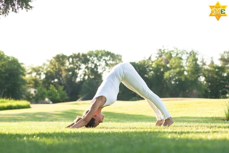 Phương pháp học và thực hành trong khóa học khí công dưỡng sinh y học mở rộng