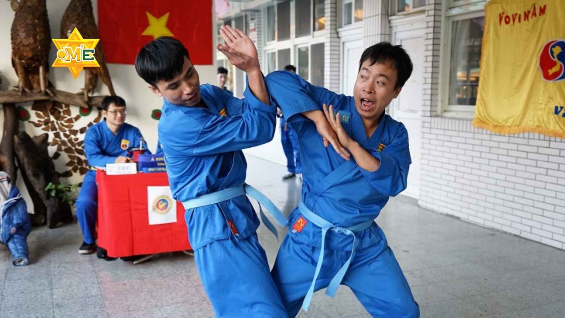 Các thế võ Vovinam cơ bản