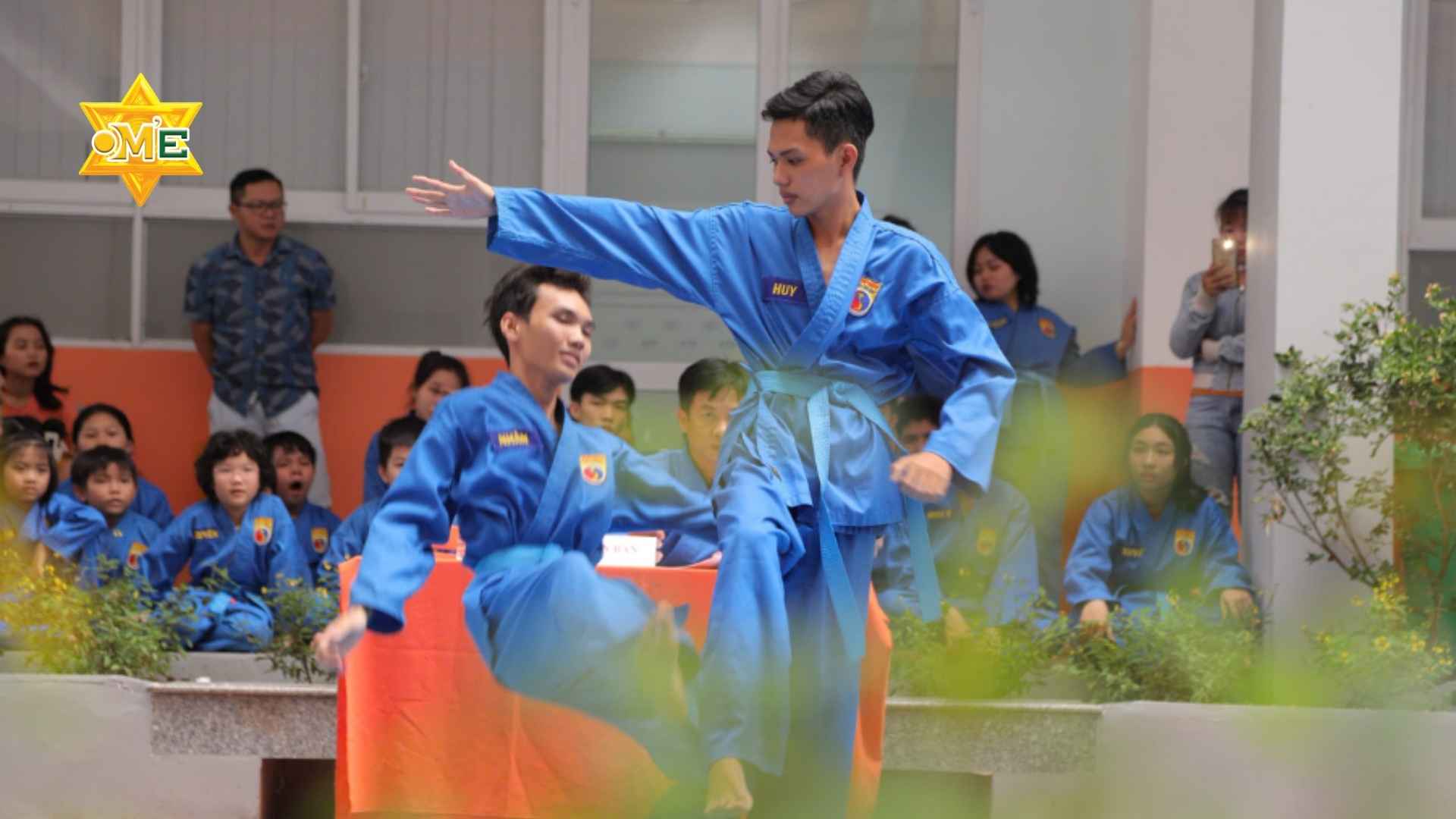 Các thế võ Vovinam cơ bản
