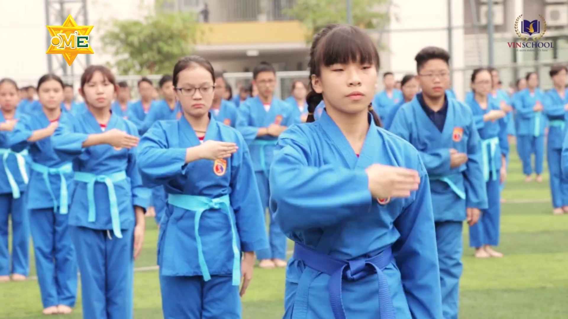 Các thế võ Vovinam cơ bản