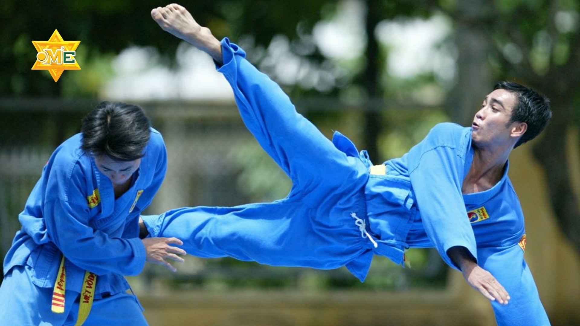 Lý thuyết võ đạo Vovinam