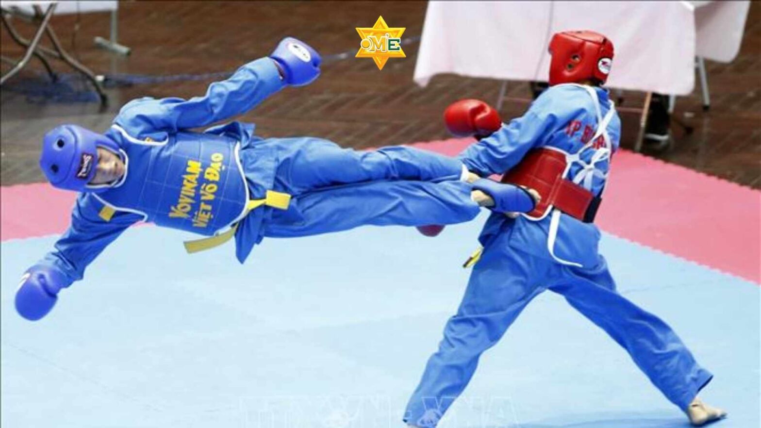 Lý thuyết võ đạo Vovinam