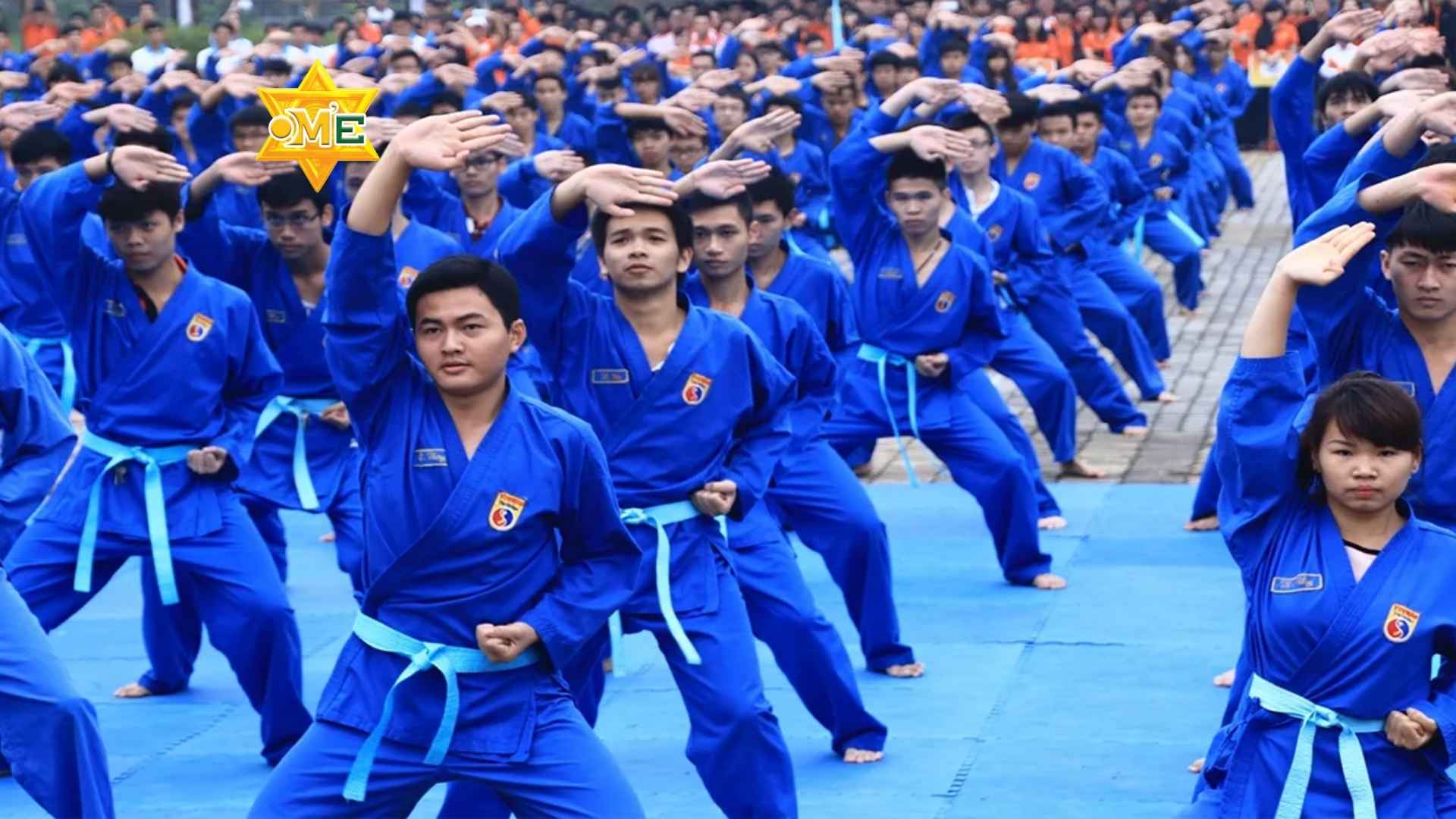 Võ Vovinam cơ bản