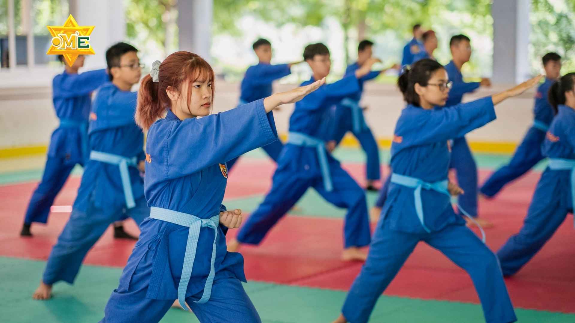 Võ Vovinam cơ bản
