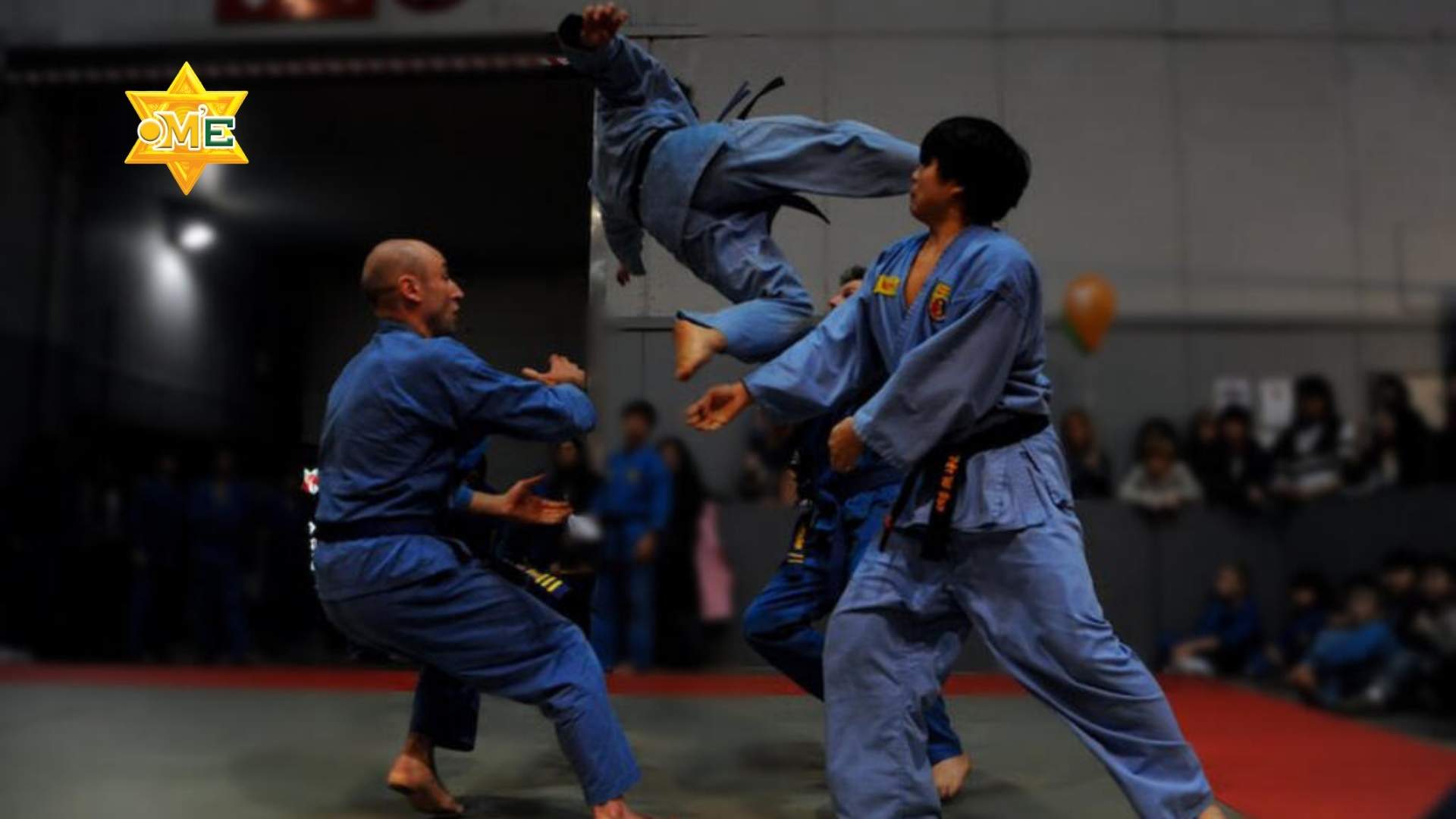 Kỹ thuật căn bản Vovinam