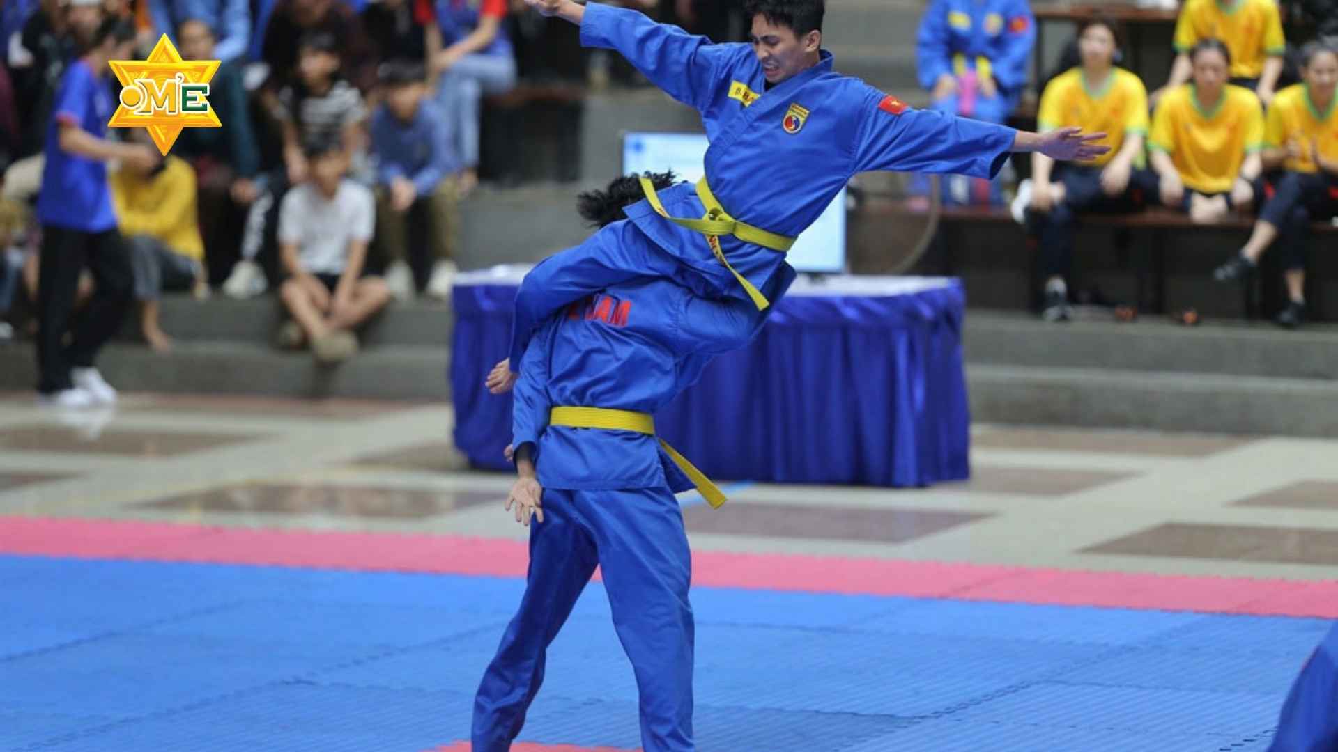 Kỹ thuật căn bản Vovinam