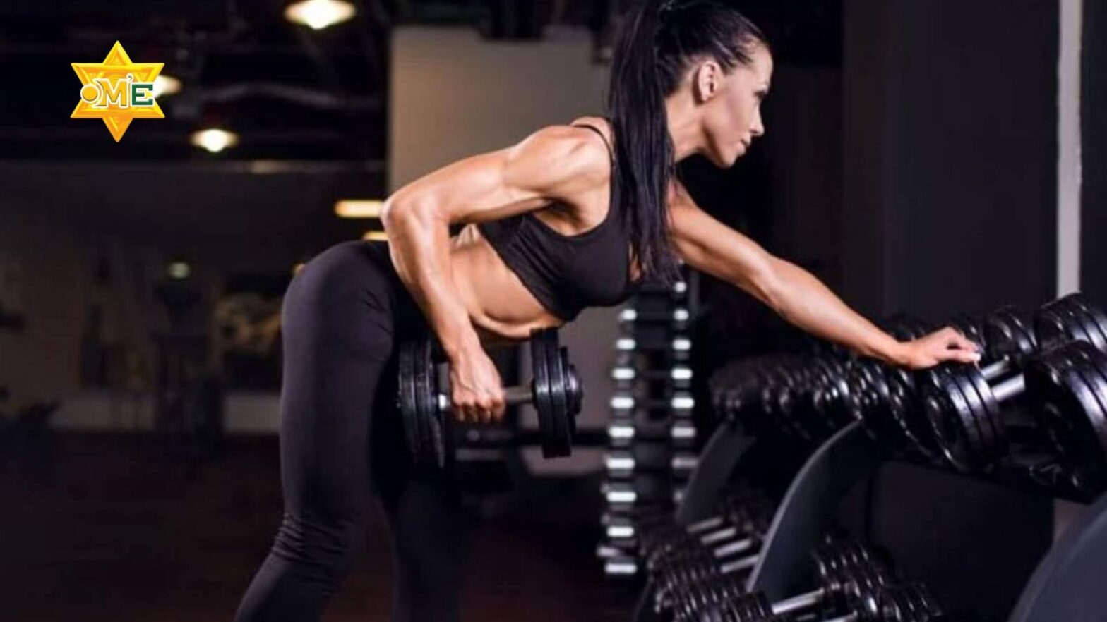 Bài tập gym cho người mới