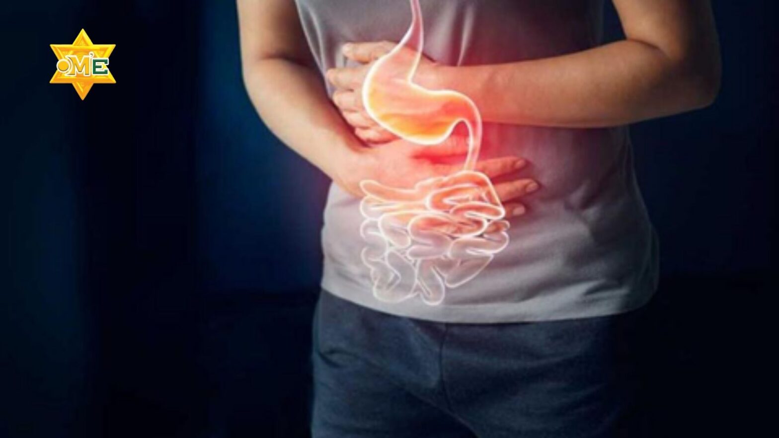 Hệ tiêu hoá của người