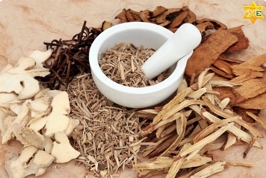 Những cây thuốc nam chữa bệnh đại tràng thường dùng