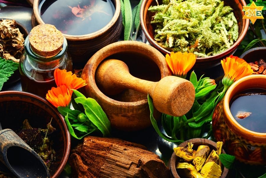 Vì sao nhiều người tìm đến cây thuốc nam chữa dạ dày đại tràng?