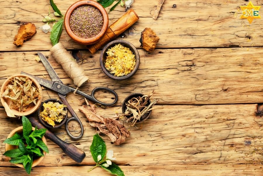 Lưu ý khi sử dụng cây thuốc nam chữa bệnh đại tràng