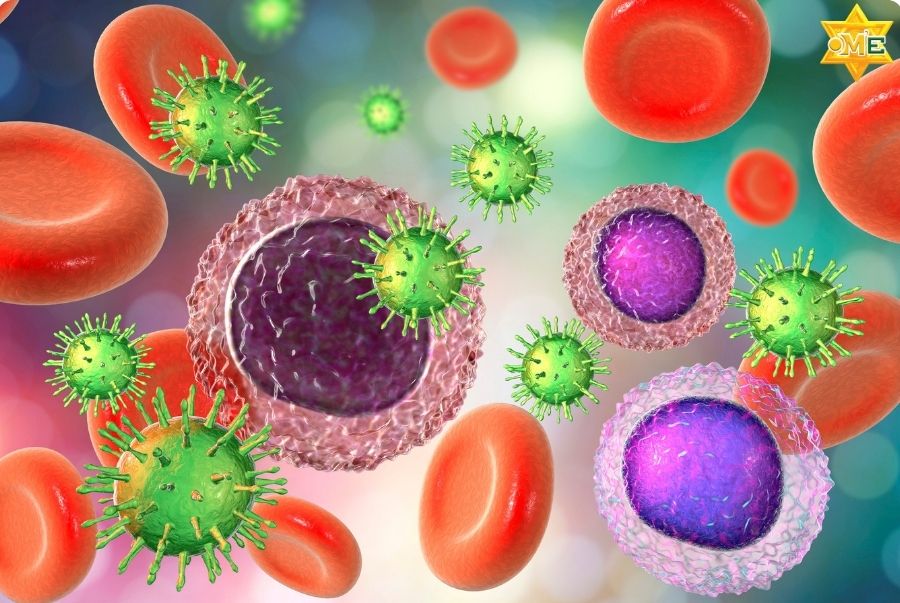 Hệ miễn dịch kém là gì và có cách nào cải thiện theo Y học cổ truyền?