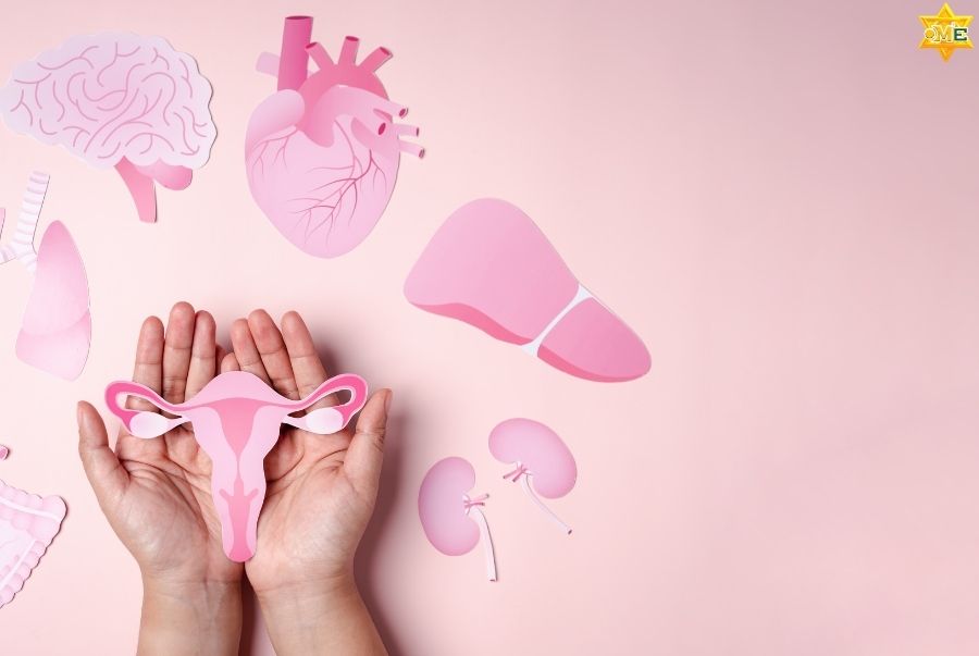 Tiền mãn kinh là gì? Y học cổ truyền có thể cải thiện như thế nào?