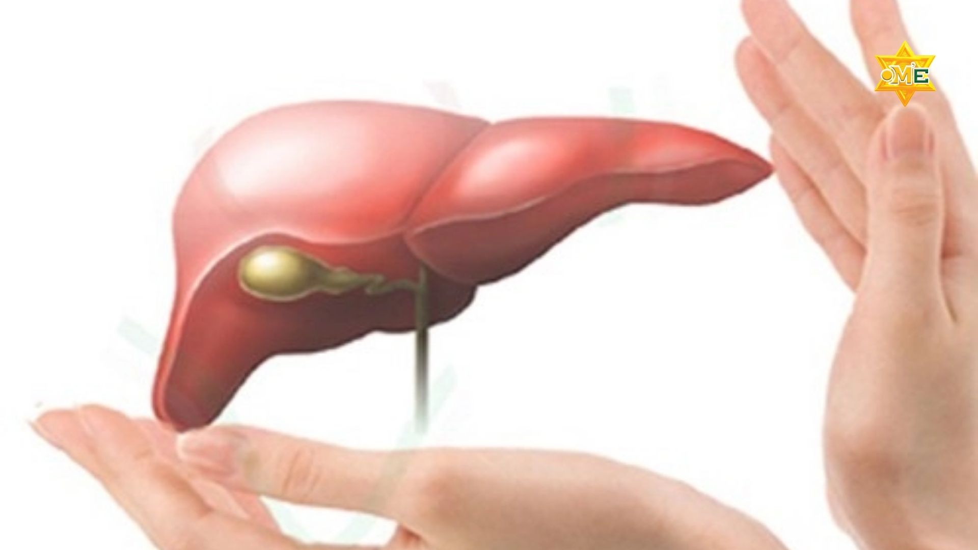 Phục Hồi Chức Năng Gan Tự Nhiên