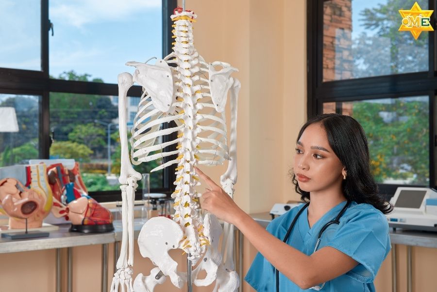 Chức năng của xương và mối liên hệ với thận, khí huyết, kinh lạc