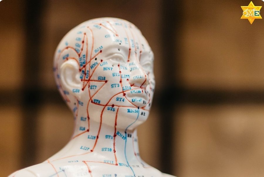 Hệ thống kinh lạc là gì? Vai trò và phương pháp khai thông kinh lạc
