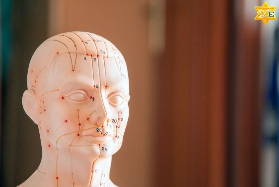 Hệ thống kinh lạc trong Y học cổ truyền là gì?