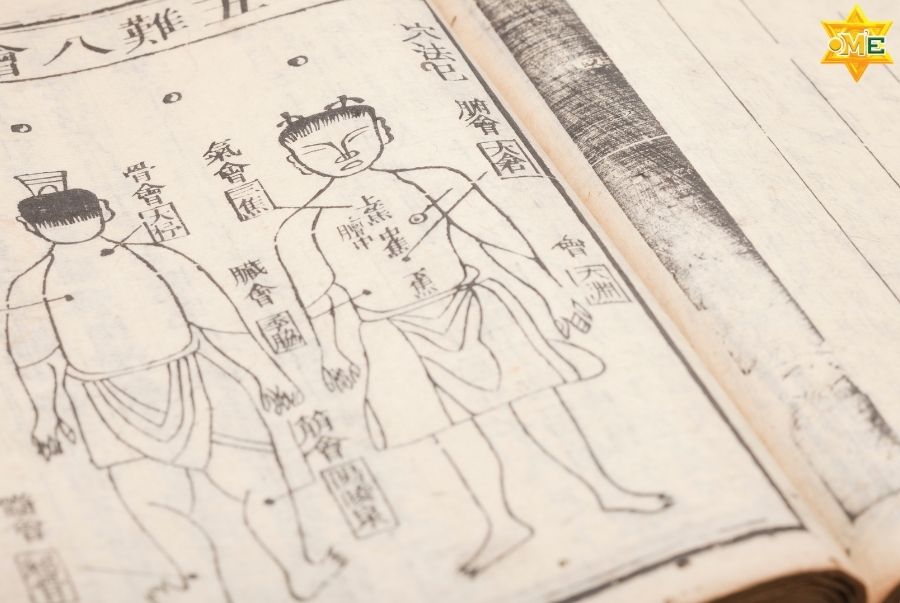 Sơ đồ hệ thống kinh lạc và các đường chính