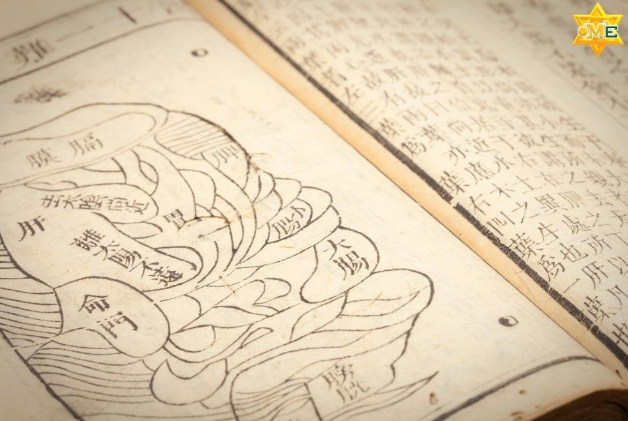 Giá trị dưỡng sinh và ứng dụng thực tiễn của hệ thống kinh lạc